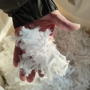 �������� ����ʽ��ά������������ �������׷�ϴD���˳����۹���