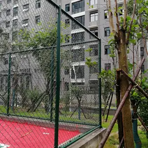 ������п˿������ ��������Χ�� ֣��ѧУ�ٳ�Χǽ������