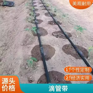 ��Ƭʽ�ι�� ����������ֲ�����ù�ȹ����߿�Դ���