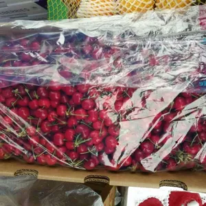 车厘子批发:号外号外~~~海运车厘子大军即将登陆江南水果市场