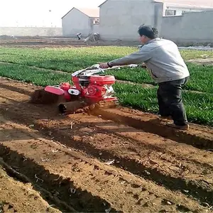 չ�������𹵻�С�ͱ��� �ַ�������������������