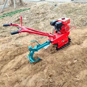����С������΢���� �Ĵ�ʽ��ת��ػ� С�Ϳ�������΢����