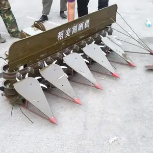 �������Ͳ˸�ɹ�� С������ˮ����ɹ�� ��ũ ���׸˷�Ƭ��
