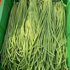 食堂承包农副产品配送蔬菜水果提供蔬菜服务