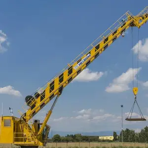 MEP PELLEGRINI���