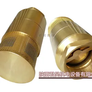 现货铜双门底阀 油罐车铜底阀 加油站加油机内螺纹底阀