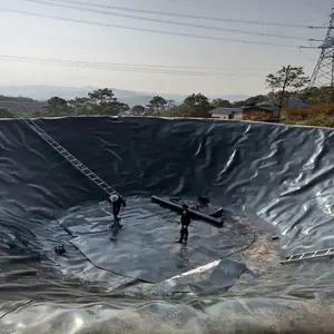 ����ֱ��������ĥ��ɫ�ǽ���׼HDPE��������������ֳ��������Ĥ