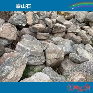 广西中型泰山石 园林景观假山石 ***格