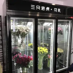�ʻ����ʹ� ���껨�������� ר���ʻ���չʾ�� ��ع������˪����