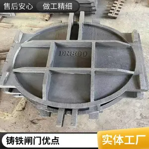 ��Ӧ�綯��բһ������բ�� DPZ˫��������բ��