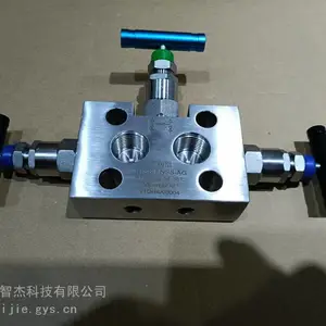 3DSS-FNS8-AG三阀组不锈钢切换阀