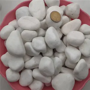 ��ɫС����ʯ�۸� �ӱ���˳��ɫС����ʯ����