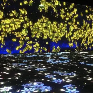山东聊城利米奇教育会议触摸一体机广告机聊城全息3D裸眼投影风扇地面墙面投影互动