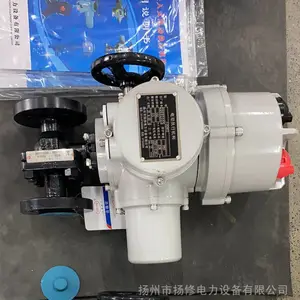 宁夏化工RQ911内螺纹电动球阀小口径球阀/两位切断阀、调节阀,316L卫生级球阀