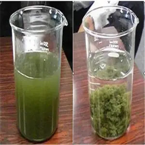 南通阴阳非离子聚丙烯酰胺 絮凝剂聚丙烯酰胺制备及应用 荣茂