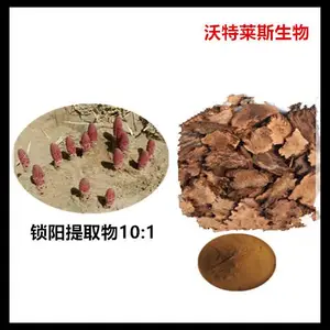锁阳生物碱 锁阳提取物 锁阳速溶粉 1公斤起订 包邮