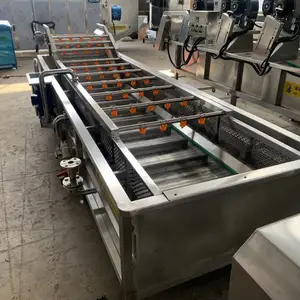 荠菜苦菜净洗机塑料链板气泡清洗机