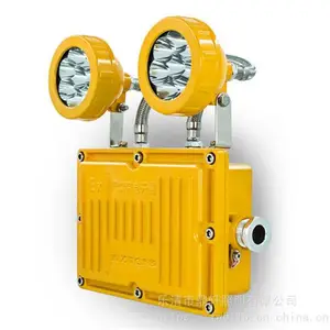 �������� M-ZFZD-E������ 6W˫ͷ����Ӧ���� �����ȵ�������
