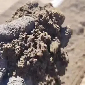 发酵羊粪农用有机肥调盐碱水生根肥料蔬菜生姜果树