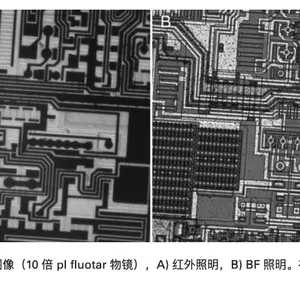 杭州3D超景深金相显微镜报价 欢迎咨询 茂鑫供