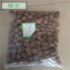 中药橡皮子 泰国橡皮1斤