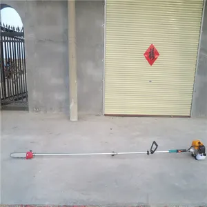 ��������֦�ĵ�� �ӳ���֦�� ��ľ������