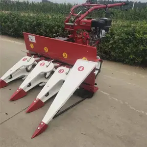������������ո��-����֥��ոѸ��--���׽ոѸ�����ɹ���۸�