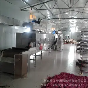 广州志雅全自动微波杀青设备_玫瑰花蕾微波杀青设备现货