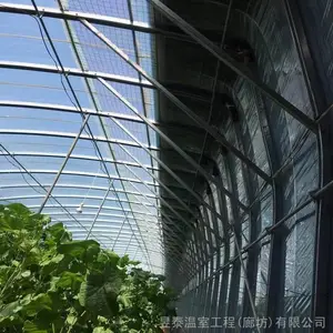 ��̩ �չ�����ů�� �߲˴����ޱ���ů���� YTWSRG11007A
