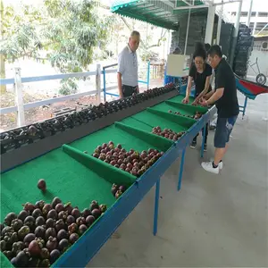 ���Է�ѡ���������� ɽ����ѡ��С ���߷�ѡ�ּ� �๦�ܷ�ѡ�豸