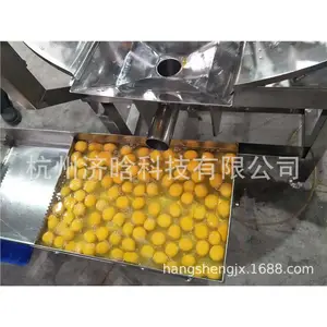 ����Һ�����豸,���Ƽӹ��豸,���������豸,ȫ��Һ�ӹ�������