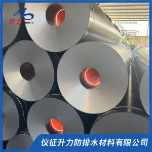飞灰库HDPE土工膜厂家直销环保用高密度聚乙烯防渗膜