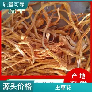 北虫草饮料灰树花定制厂家全国招商