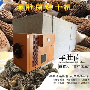 �ʹ���ɻ� �����ʹ��濾�� ����