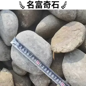 广东中山10-20公分鹅卵石堆砌护坡 鹅卵石水底造景 鹅卵石厂家发货
