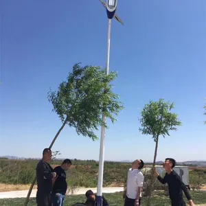 衡阳LED路灯厂家价批发