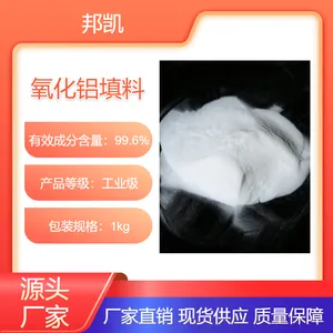氧化铝填料/工业试剂高纯级/1kg/袋 /吸附剂/催化剂载体/色谱层析