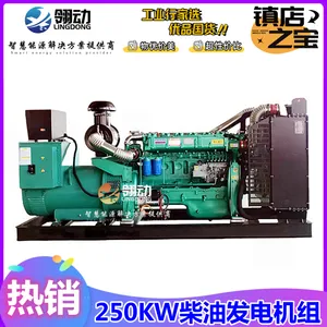 250kw千瓦潍坊柴油发电机组 高性价规格动力 市政工程备用发电