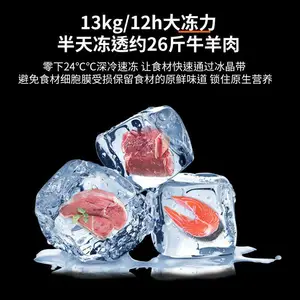 冷藏冷冻可调冰柜