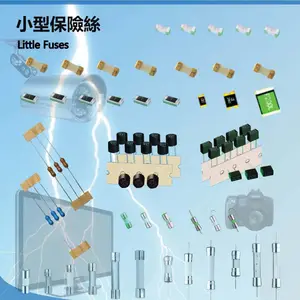 供应450VDC微型保险丝管 保险丝 熔断器