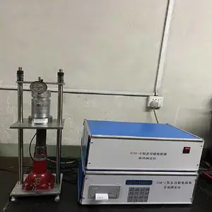 �������Զ��ⶨ�� ʯī�۵�̿����Ʒ ������ϲⶨGM-I
