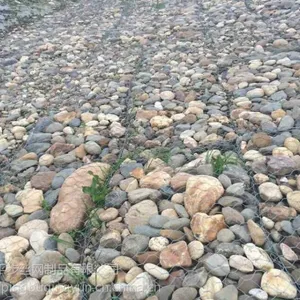 �纸�ӵ����ܸ��ʯ����ʯ������@�������˸��רҵ��