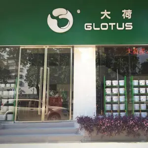 深圳市大荷科技有限公司