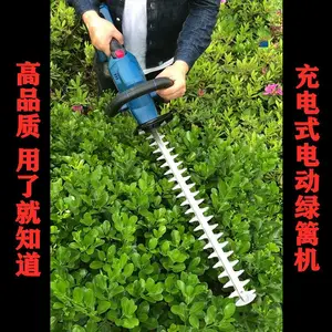 ���ʽ��֦ ���ʽ��֦�� ����԰����֦�� ��֦�޼����������
