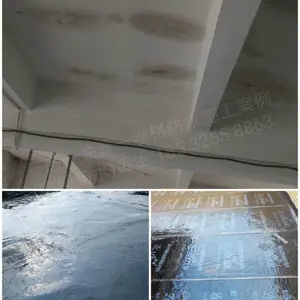 东莞塘厦专业楼面/卫生间/厨房/阳台天花渗漏补漏工程