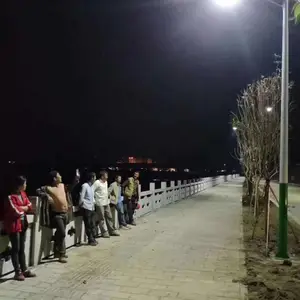 西安太阳能路灯***格 6m30WLED路灯整夜亮灯