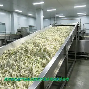 萝卜烘干机 萝卜干烘干机 胡萝卜烘干机(木山1型)高效省电保品质