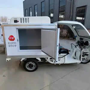 三全生鲜果蔬冷藏三轮车 箱式电动冷链三轮车 绿科冷链