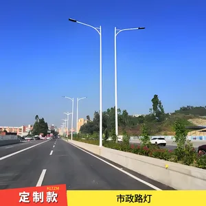 庐江县路灯生产 热镀锌钢质主杆 配套大功率LED灯具 足瓦足功率