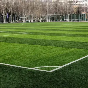 ***�����ƺǽ ����ʩ��Χ����ƺ 1���׹����̻���